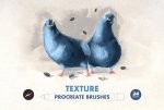 Texture Procreate Brushes.jpg