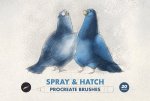 Spray _ Hatch Procreate Brushes.jpg