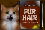 Fur-Hair.jpg